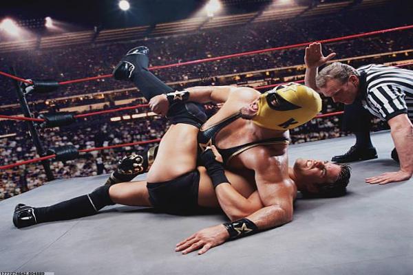 各体育项目运动员肌肉(图1)